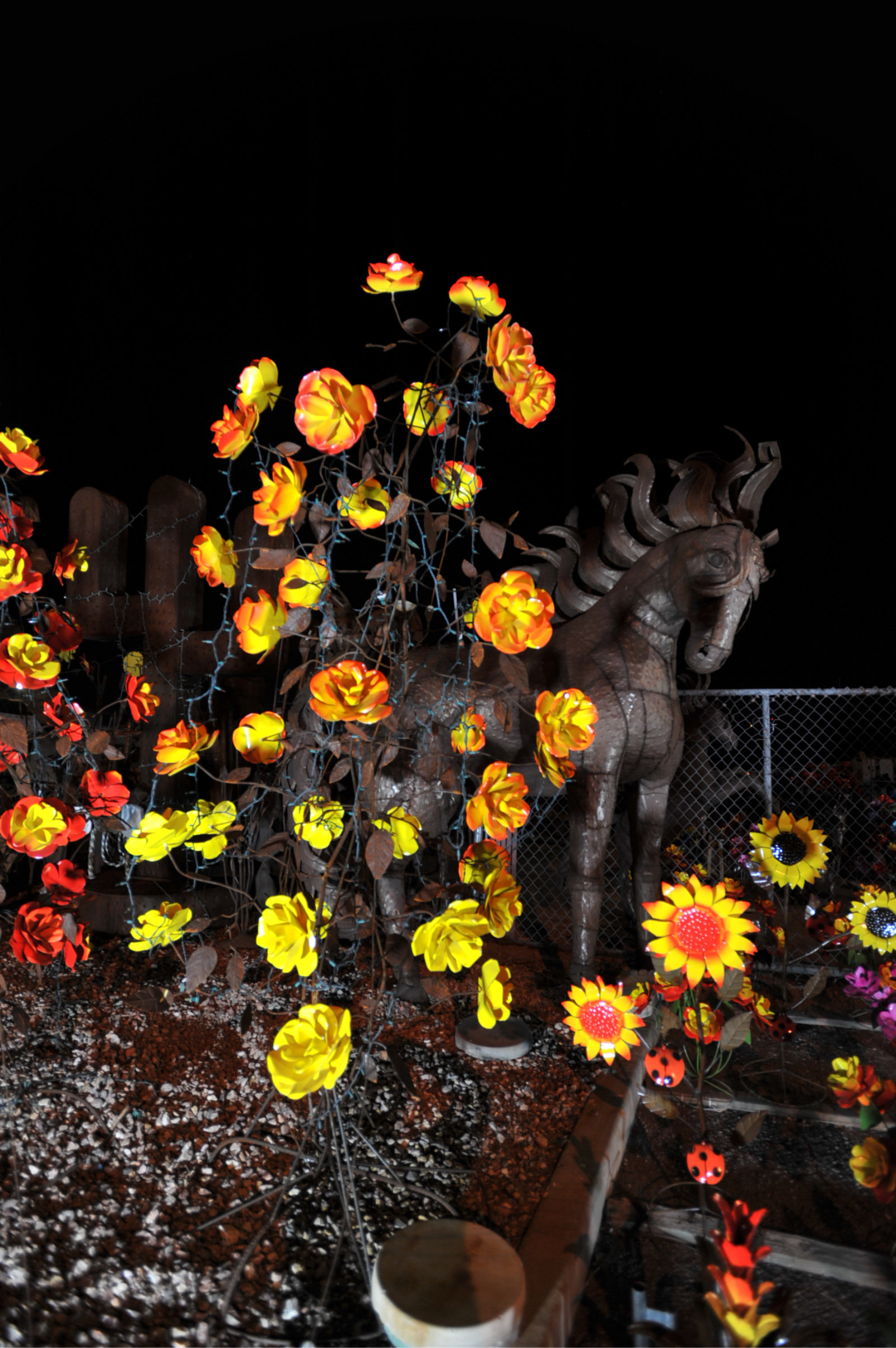 Steel Magnolias and a Rusty Horse 31